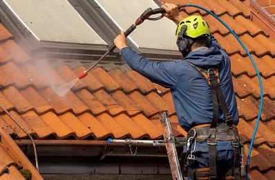 Démoussage et hydrofuge de toiture à Soyaux